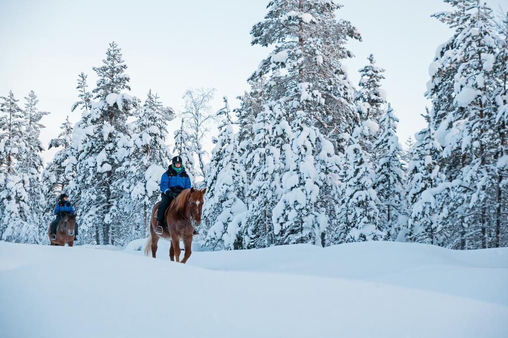 Kakslauttanen Arctic Resort - Igloos And Chalets Saariselkä Eksteriør billede